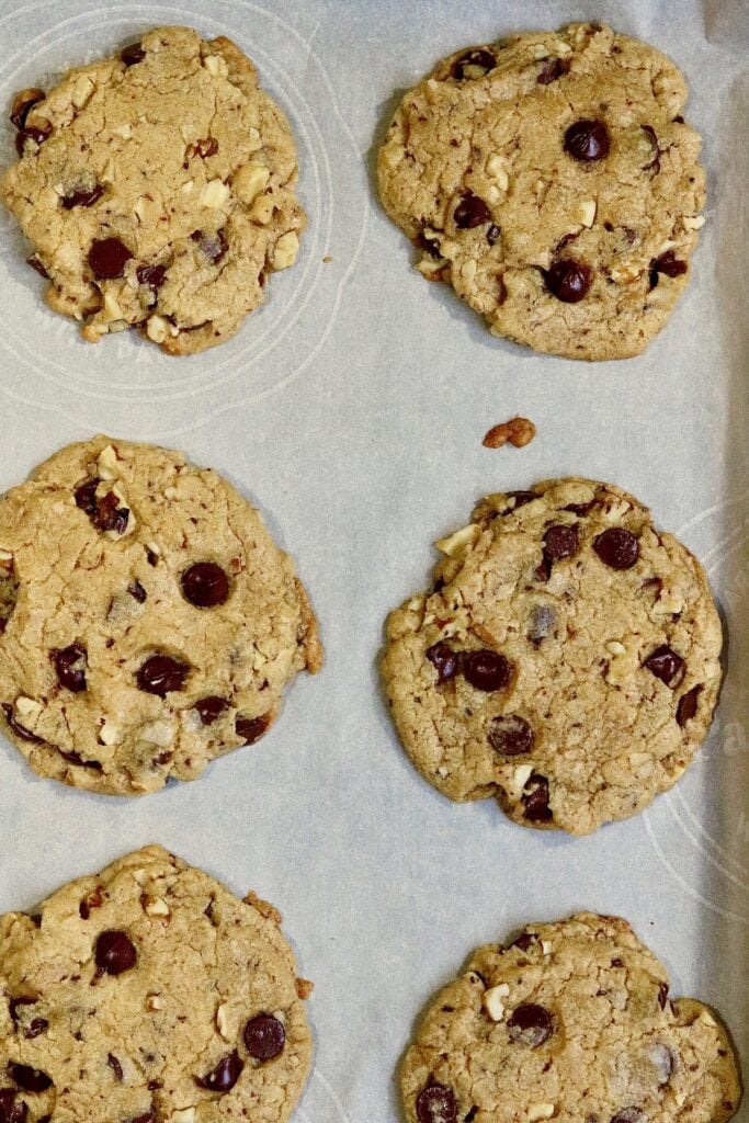 vegan chocolate chip cookies baked on a cookie sheet