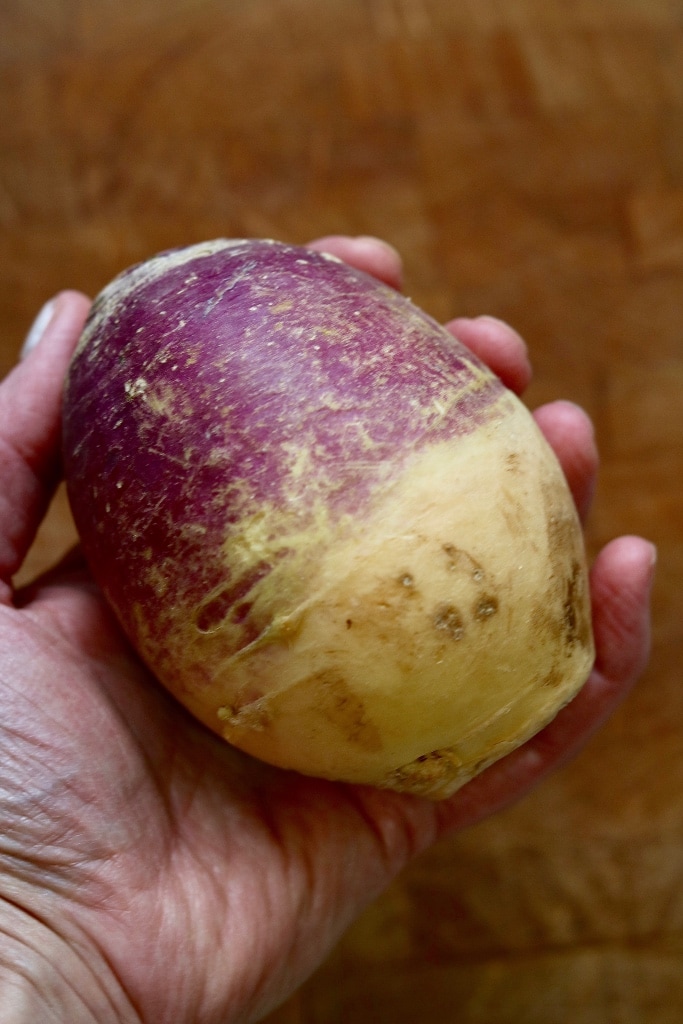 holding a whole rutabaga for hearty vegan stew