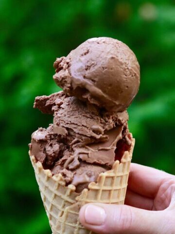 cropped-chocolate-malted-vegan-ice-cream.jpg