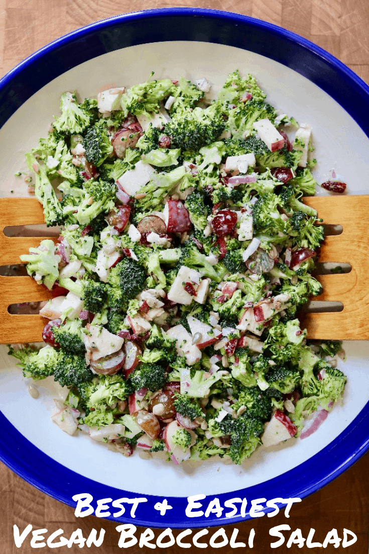 Best & Easiest Vegan Broccoli Salad The Cheeky Chickpea