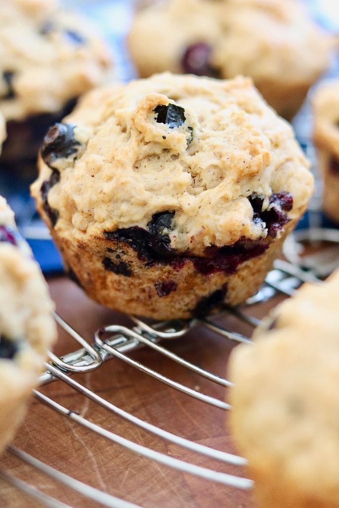 Vegan Blueberry Muffins (Best Recipe!) - The Cheeky Chickpea