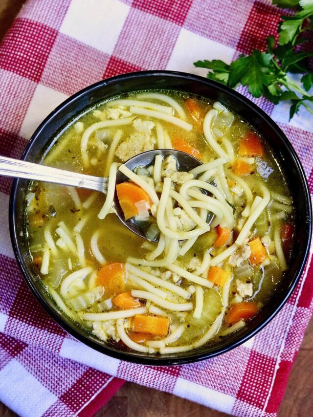 Instant Pot Vegan Chicken Noodle Soup