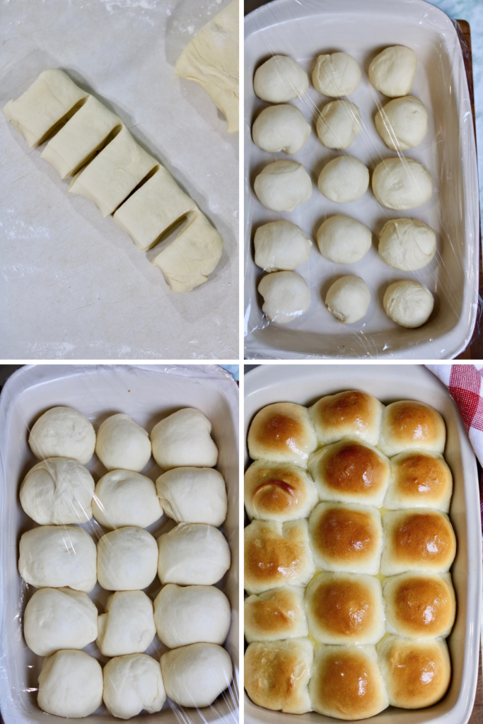 step by step photos how to form and bake dough for dinner rolls