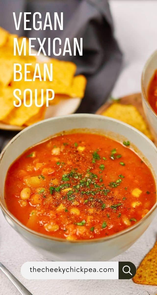 Vegan Mexican Bean Soup - The Cheeky Chickpea