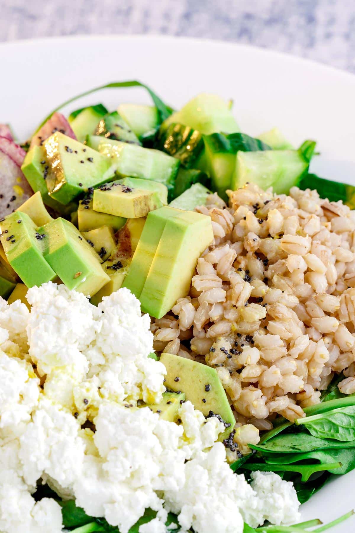 farro, vegan feta, and avocado on top of salad in white bowl