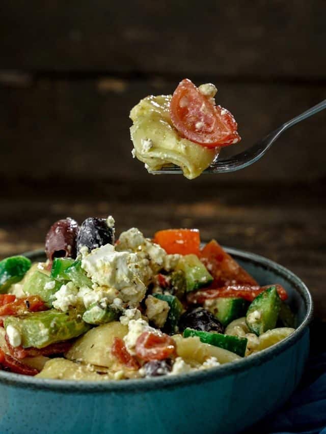Vegan Tortellini Pasta Salad with Greek Seasoning