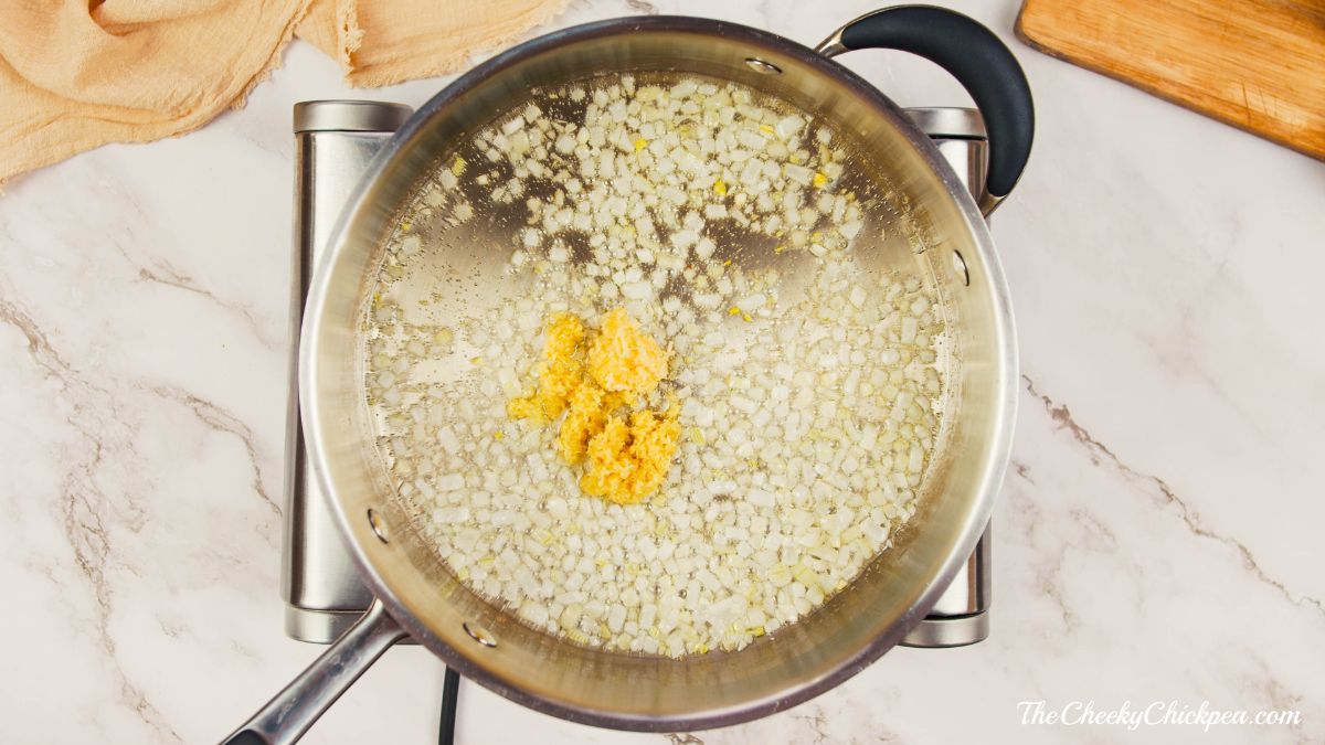 onion and garlic in saucepan on hot plate on table