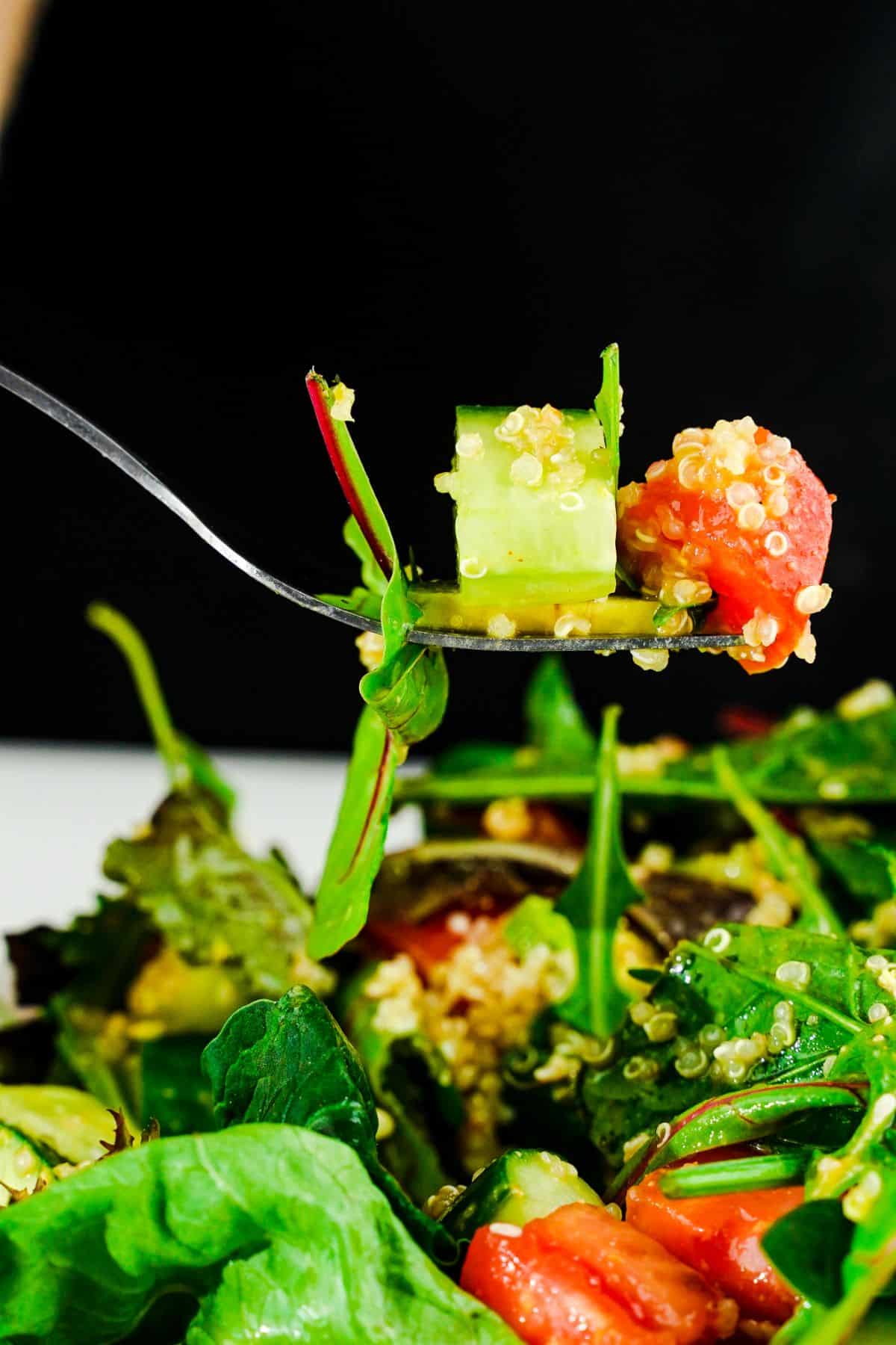 fork of salad above bowl with black background